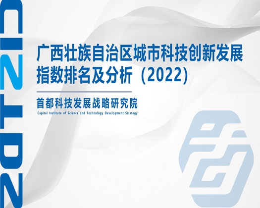 狂草女人小逼【成果发布】广西壮族自治区城市科技创新发展指数排名及分析（2022）